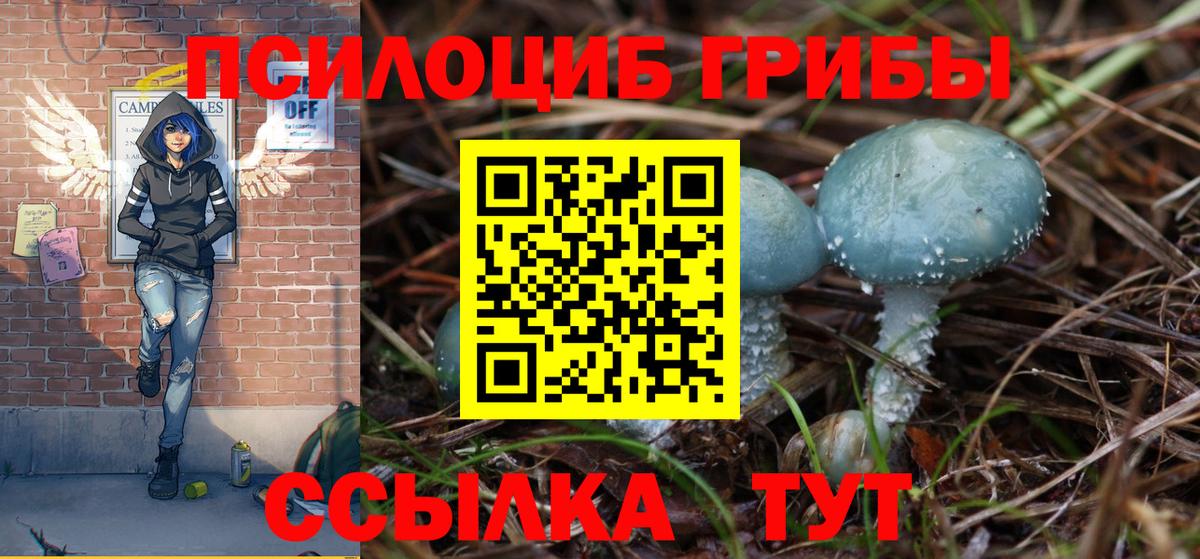 Кстово  Псилоцибиновые грибы MAGIC MUSHROOMS  Вход с VPN 