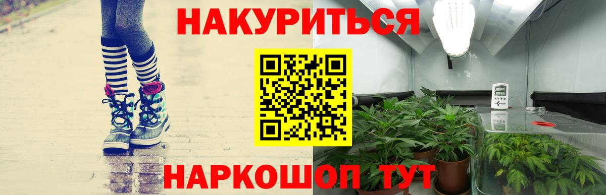 Канабис Bruce Banner  Вход с VPN  Канабис тримм  Каннабис OG Kush  Кстово  Каннабис OG Kush 